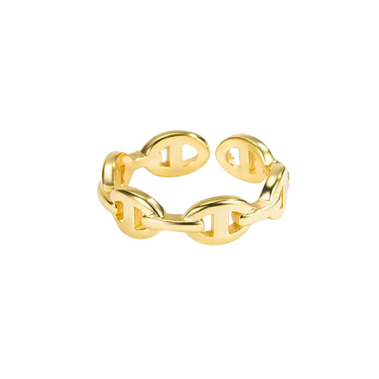 Anillo River