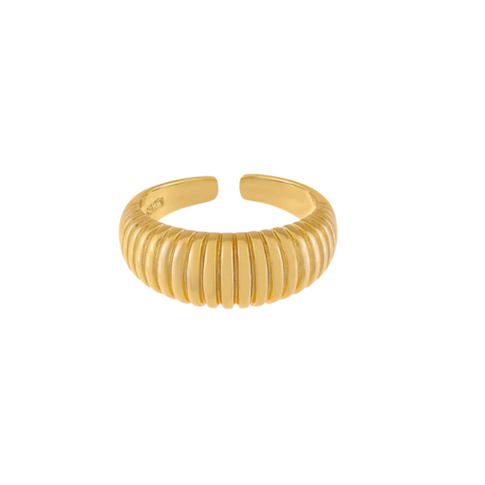 Anillo Gigi
