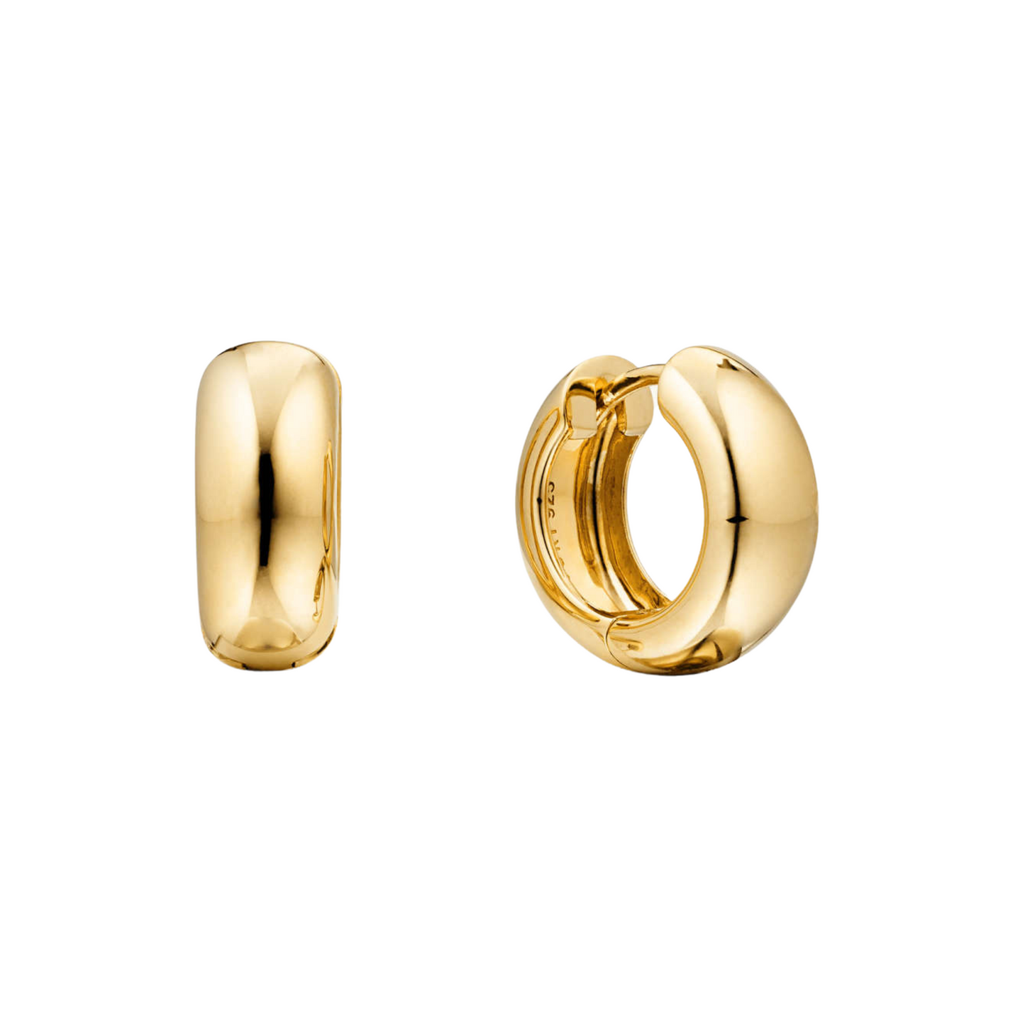 Aretes Sia