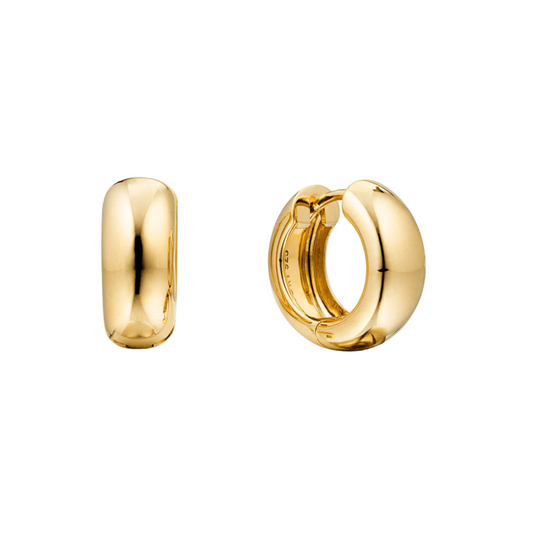 Aretes Sia