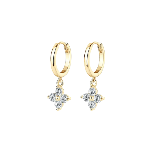 Aretes Sienne