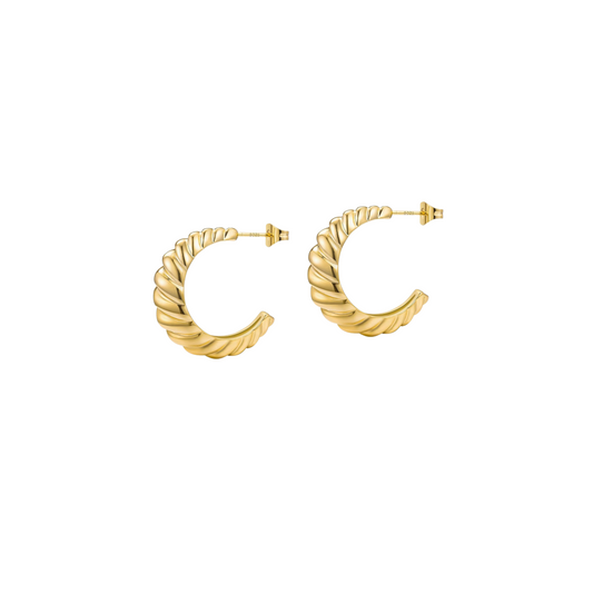 Aretes Alaïa