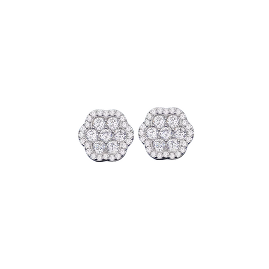 Aretes Venus