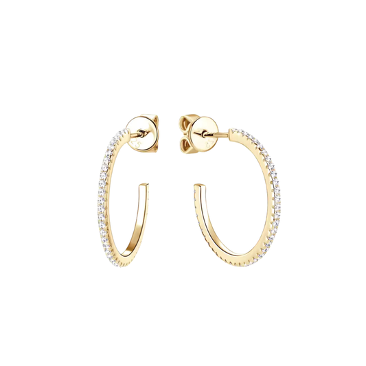 Aretes Belier